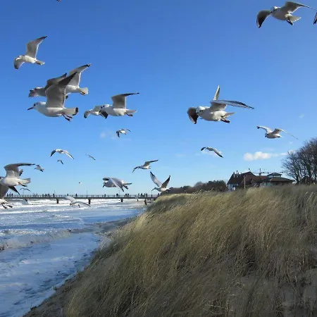 Apartment Ostseebrise-im-ferienhaus-flair-am-meer Zingst